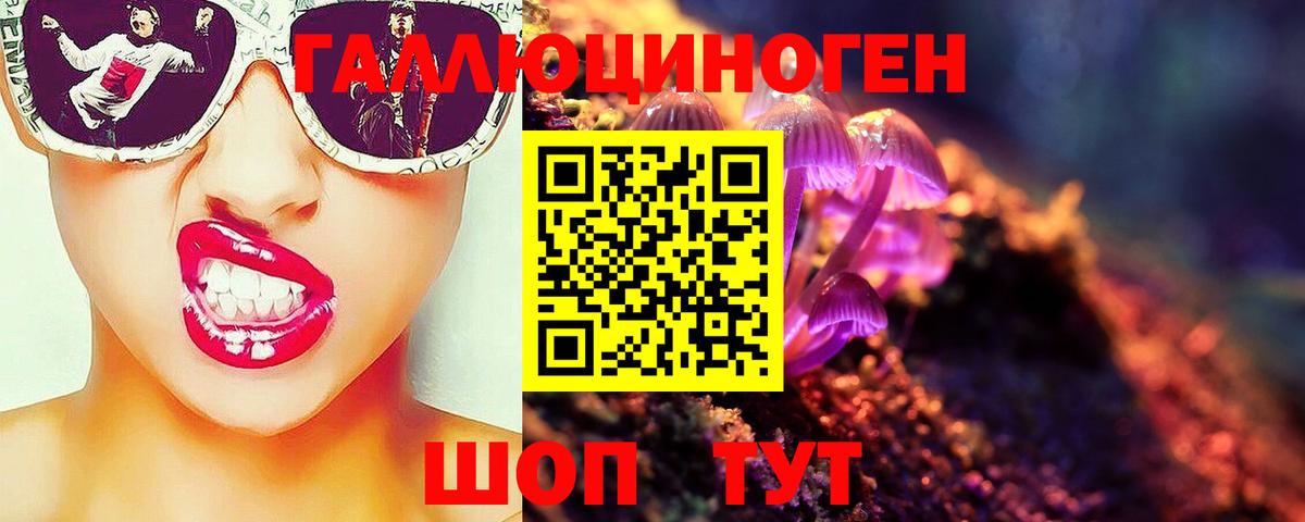 Псилоцибиновые грибы Psilocybine cubensis  Вход с VPN  Кирово-Чепецк 